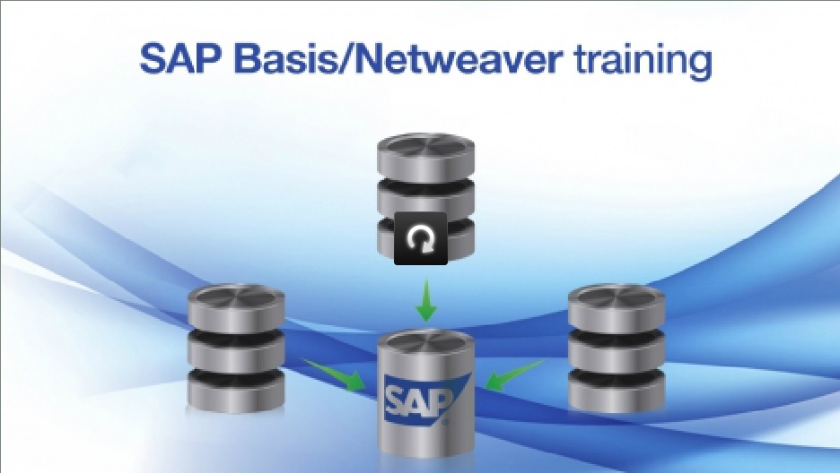 Everything You Need To Know About SAP Basic Training