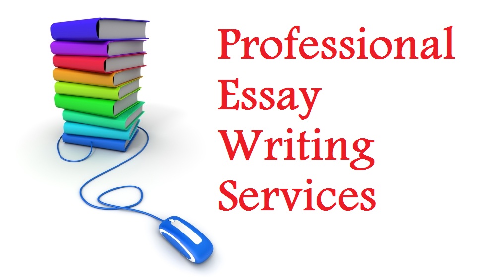 Top Reasons Why You Need An Essay Writer